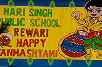 Hari Singh Public School
